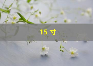 15 寸